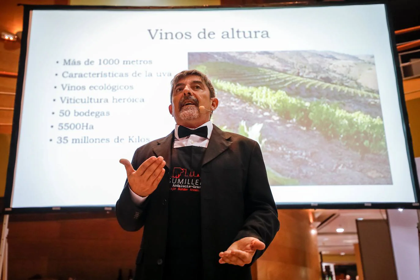Fotos: Vinos de Granada: un viaje enológico por los viñedos de la provincia