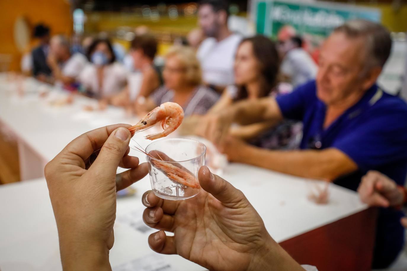 Los asistentes han podido disfrutar de varias catas durante la jornada del viernes
