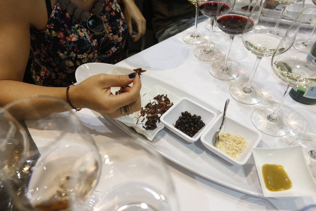 Chicatanas, chapulines, que son los saltamontes mejicanos, gusanos rojos y blancos o los escamoles fueron los protagonistas de la cata
