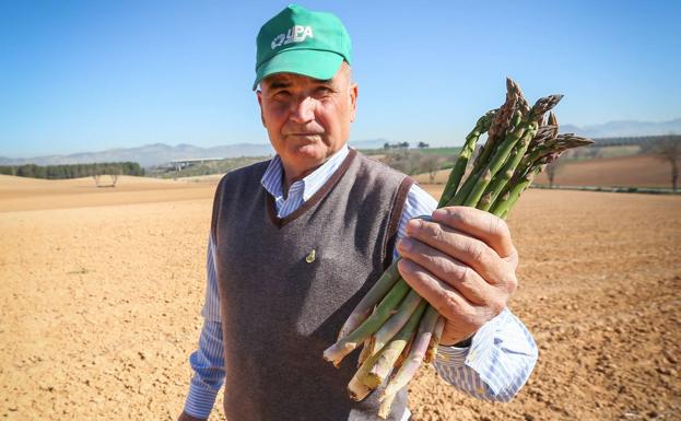 Antonio Rodríguez, agricultor de La Vega con un manojo de espárragos de Huétor Tájar. 