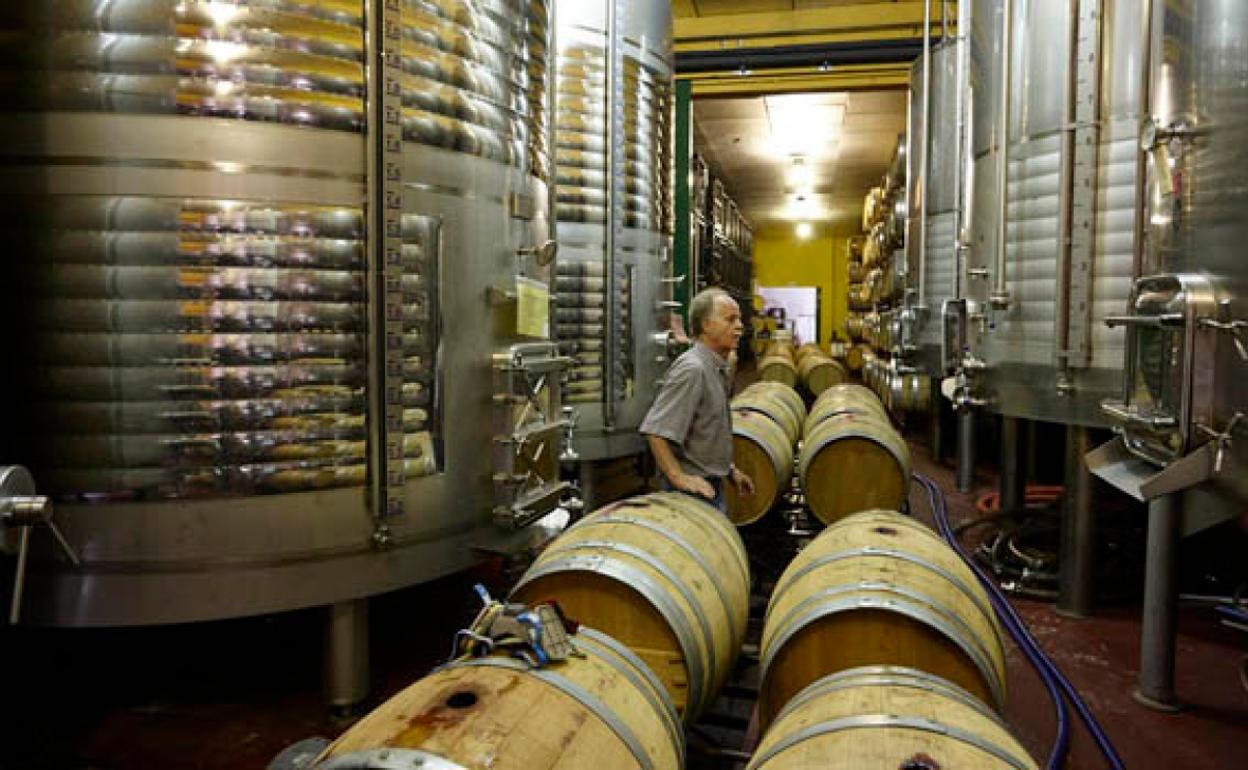 Granada Gourmet visita la Bodega Fontedei y hace una cata de vinos