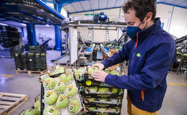 La chirimoya, un clásico de la Costa Tropical en plena expansión que todavía tiene un largo camino gastronómico por recorrer. 