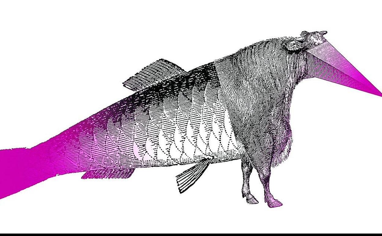 Ni vacas ni peces