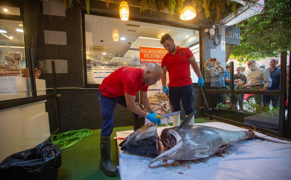 Momento en que Daniel Garrido separa la cabeza del atún, con la colaboración de su sobrino David, en el ronqueo celebrado en Asador Curro. 