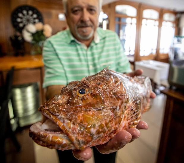 Pescados de roca en Granada, en guiso o a la plancha
