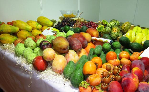 Los frutos tropicales ofrecen múltiples alternativas a nivel culinario. 