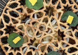 Los 3 restaurantes de Granada que recomienda la Guía Michelin para Semana Santa