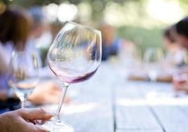 Conoce los vinos más singulares de Granada