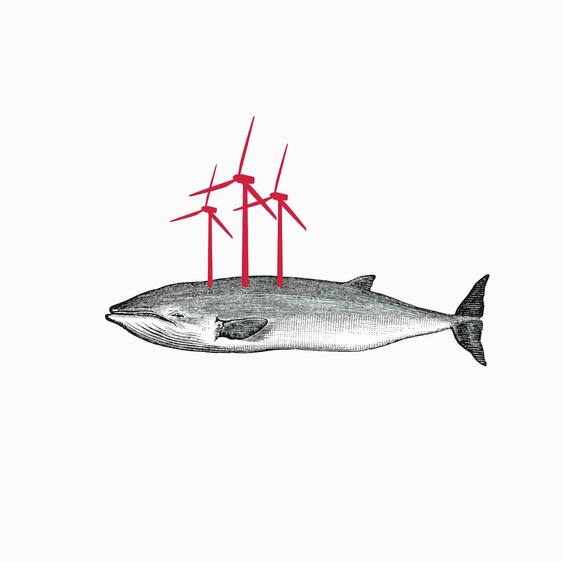 Ballenas y posidonia