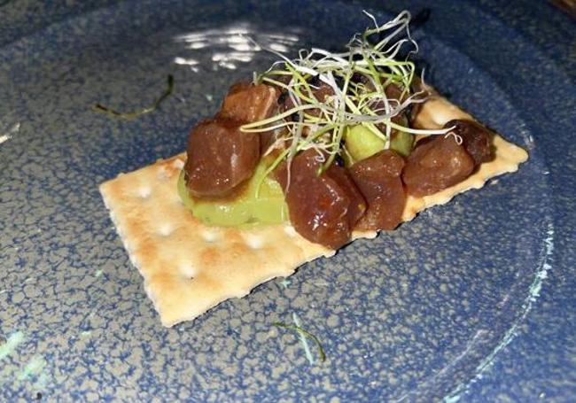 Tosta con guacamole y tartar de atún.