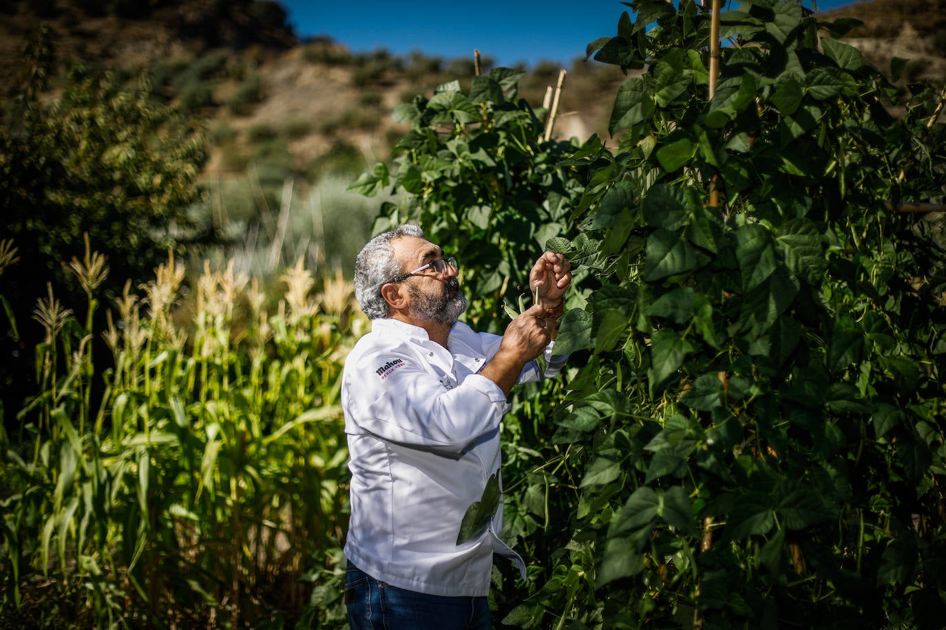 La Cantina de Diego, uno de los lugares donde disfrutar de este manjar.