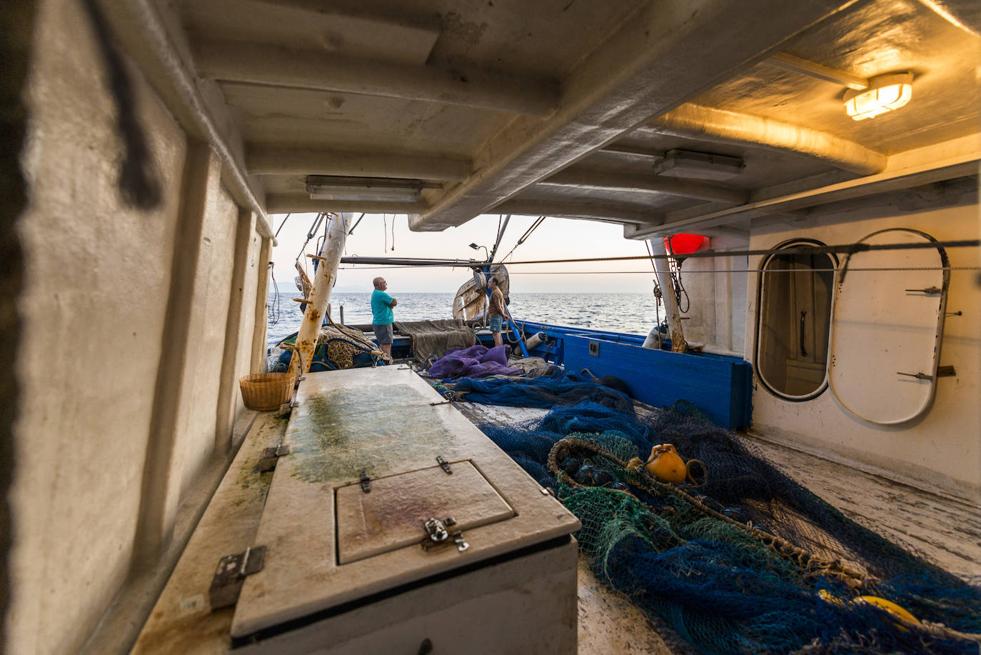 Fotos: Así se pesca la gamba roja de Garrucha