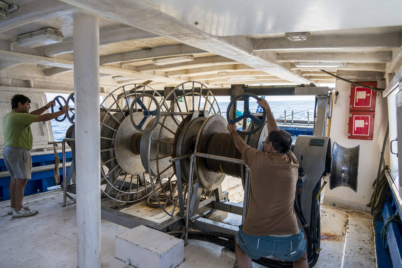 Fotos: Así se pesca la gamba roja de Garrucha
