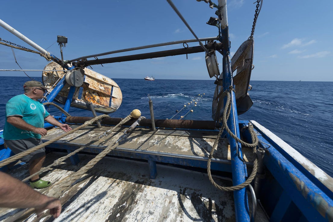 Fotos: Así se pesca la gamba roja de Garrucha
