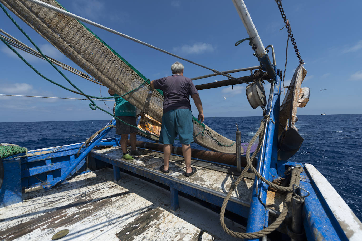 Fotos: Así se pesca la gamba roja de Garrucha