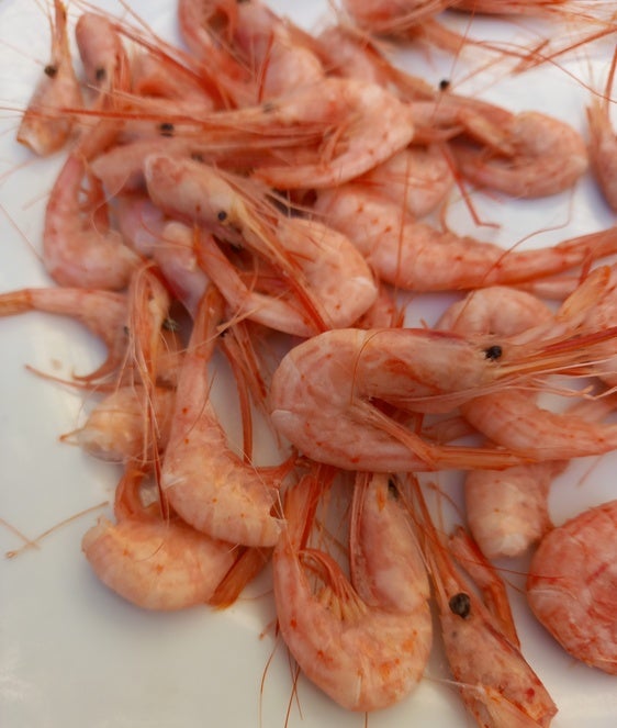 Olores a mastranzo y sabores de barretas, quisquillas y turrones