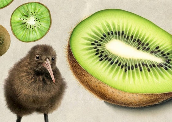 Kiwi, el fruto de Nueva Zelanda que triunfó en Pontevedra