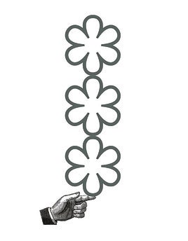 Los hijos de Gloria y Marcial