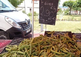 Mercadillo en el pueblo de Gex (Francia)