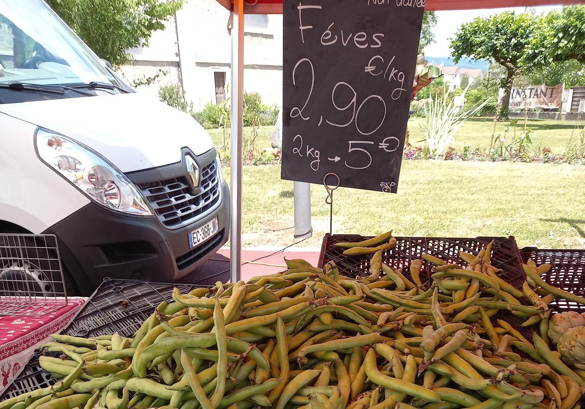 En todas partes cuecen habas desde los tiempos de los antiguos egipcios