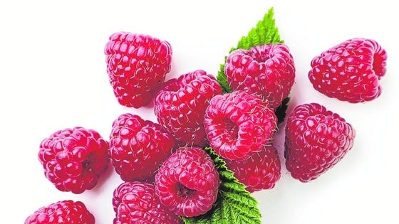 Frambuesa, fruto rojo para destensar