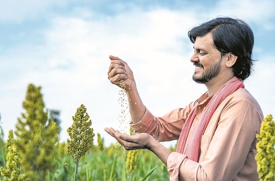 Cuatro súper alimentos proteicos