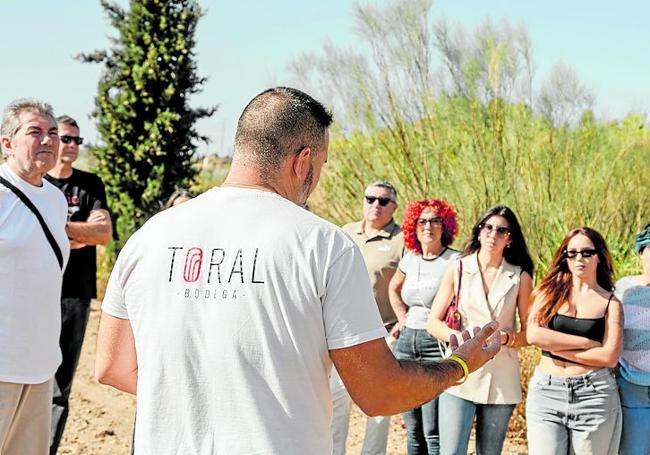 Pablo Toral explica sobre el terreno cómo elaboran sus vinos..