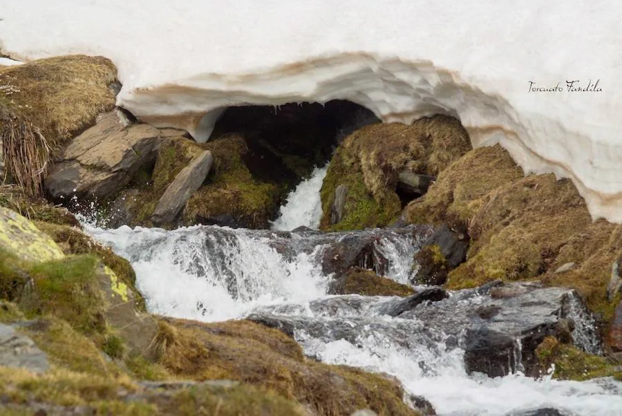 Las precipitaciones de los últimos meses han permitido que el deshielo en el Alhorí sea un gran espectáculo de la naturaleza en este último tramo de la primavera. 