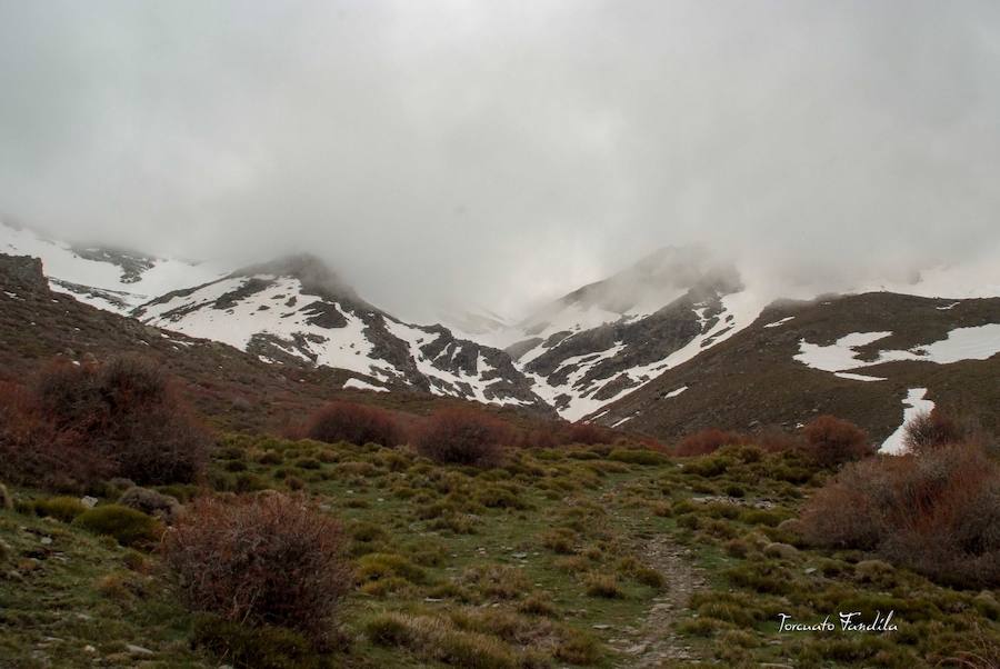 Las precipitaciones de los últimos meses han permitido que el deshielo en el Alhorí sea un gran espectáculo de la naturaleza en este último tramo de la primavera. 