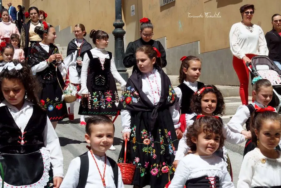 Como cada 15 de mayo la ciudad de Guadix ha celebrado la festividad de San Torcuato. Tras la misa pontifical en la catedral ha dado comienzo la procesión con la imagen del patrón y la reliquia. En la procesión han participado representantes del Ayuntamiento de Guadix y de las hermandades y cofradías de la diócesis