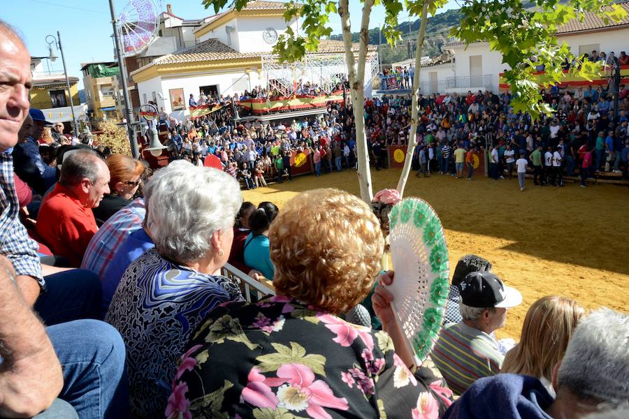 La localidad celebra el primero de los encierros previstos en sus fiestas en honor a la Virgen del Rosario y el Cristo de la Misericordia