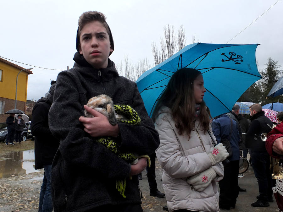 La tradicional romería a la ermita de San Antón quedó pasada por agua este domingo. No obstante el santo bendijo a los animales que llegaron al lugar. Quienes se acercaron a la era en la que se encuentra la ermita puideron, al menos, componer la tradicional cuña de San Antón con los productos típicos de la época.