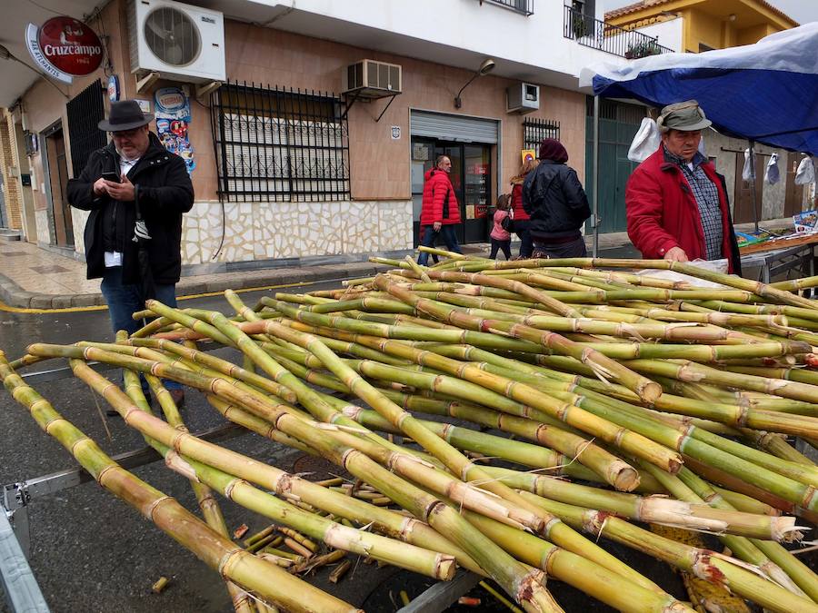 La tradicional romería a la ermita de San Antón quedó pasada por agua este domingo. No obstante el santo bendijo a los animales que llegaron al lugar. Quienes se acercaron a la era en la que se encuentra la ermita puideron, al menos, componer la tradicional cuña de San Antón con los productos típicos de la época.