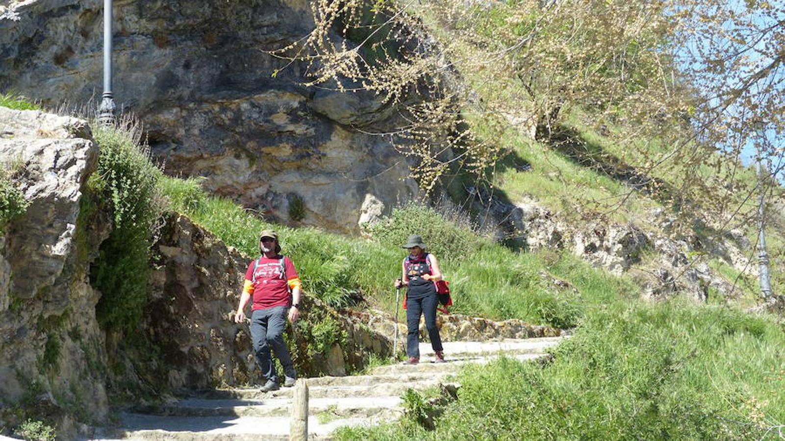 El accitano José Puertas (Bewor ADA Guadix) logró alzarse con el triunfo en la prueba reina, el trail sobre una distancia de 25 kilómetros. Le acompañaron en el podio de la prueba Alberto Martínez Buges y José Antonio Ruiz González (CD Bicha). Graci Iañez (Triatarfe SEAT Vigilsa) fue la ganadora femenina. Le acompañaron en el podio Patricia Vidal (Comunidad Vidasana) y Noemí Anguita (Sobre 2 Ruedas Bike).