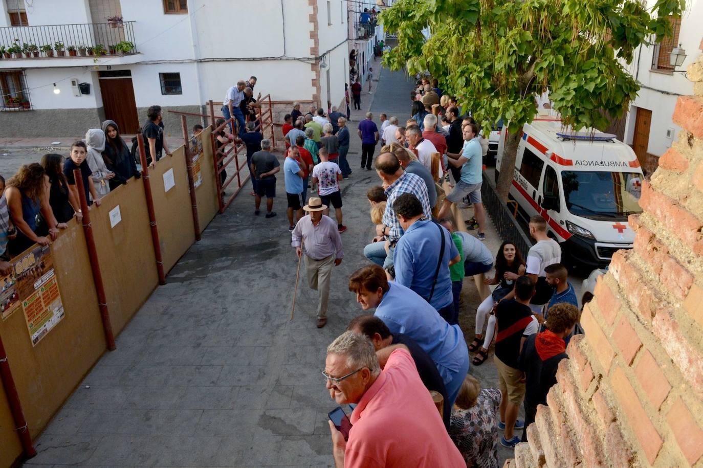 La localidad de Gor ha celebrado el primero de los tres encierros taurinos de las fiestas de San Cayetano. Se han corrido cuatro novillos de la ganadería Astolfi, que esta tarde serán lidiados por los primeros cuatro novilleros que este año aspiran al prestigioso trofeo Almendra de Plata. El encierro ha discurrido con normalidad y no se han tenido que lamentar incidentes de importancia. A juicio de algunos aficionados el paso de los novillos ha sido lento. 