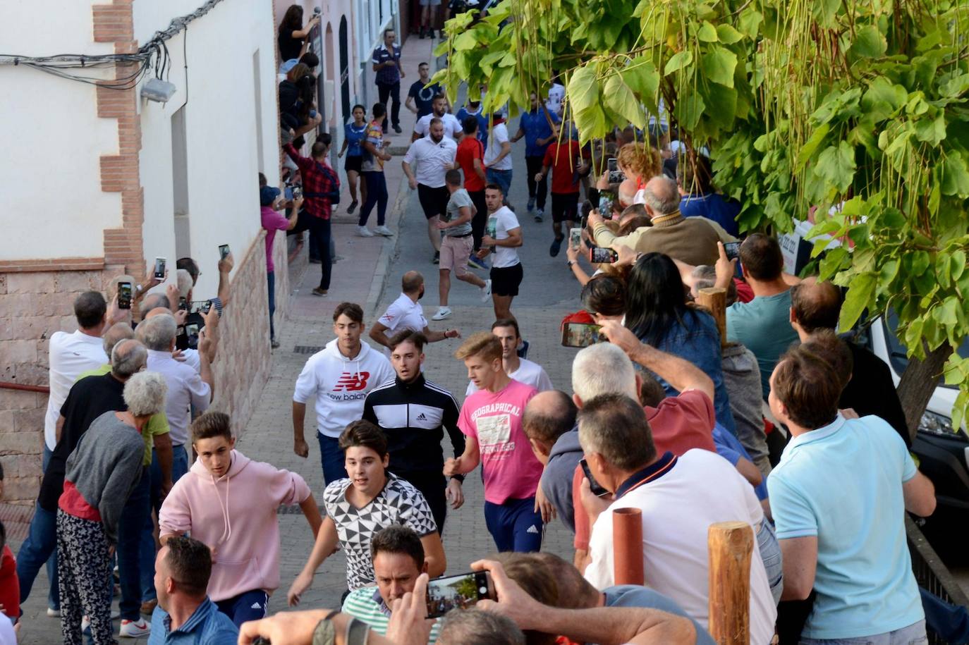La localidad de Gor ha celebrado el primero de los tres encierros taurinos de las fiestas de San Cayetano. Se han corrido cuatro novillos de la ganadería Astolfi, que esta tarde serán lidiados por los primeros cuatro novilleros que este año aspiran al prestigioso trofeo Almendra de Plata. El encierro ha discurrido con normalidad y no se han tenido que lamentar incidentes de importancia. A juicio de algunos aficionados el paso de los novillos ha sido lento. 