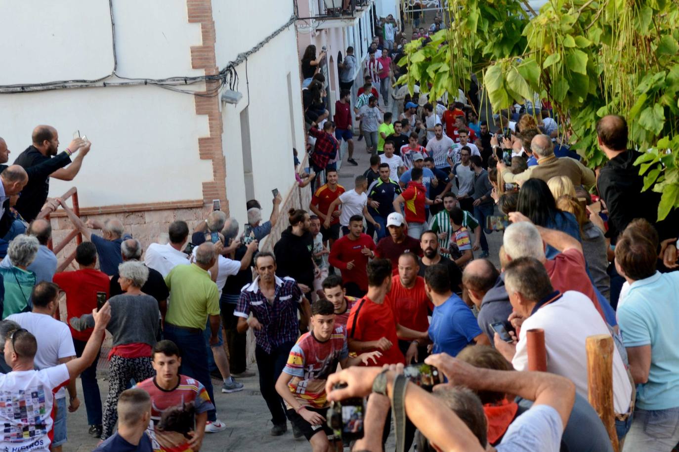 La localidad de Gor ha celebrado el primero de los tres encierros taurinos de las fiestas de San Cayetano. Se han corrido cuatro novillos de la ganadería Astolfi, que esta tarde serán lidiados por los primeros cuatro novilleros que este año aspiran al prestigioso trofeo Almendra de Plata. El encierro ha discurrido con normalidad y no se han tenido que lamentar incidentes de importancia. A juicio de algunos aficionados el paso de los novillos ha sido lento. 