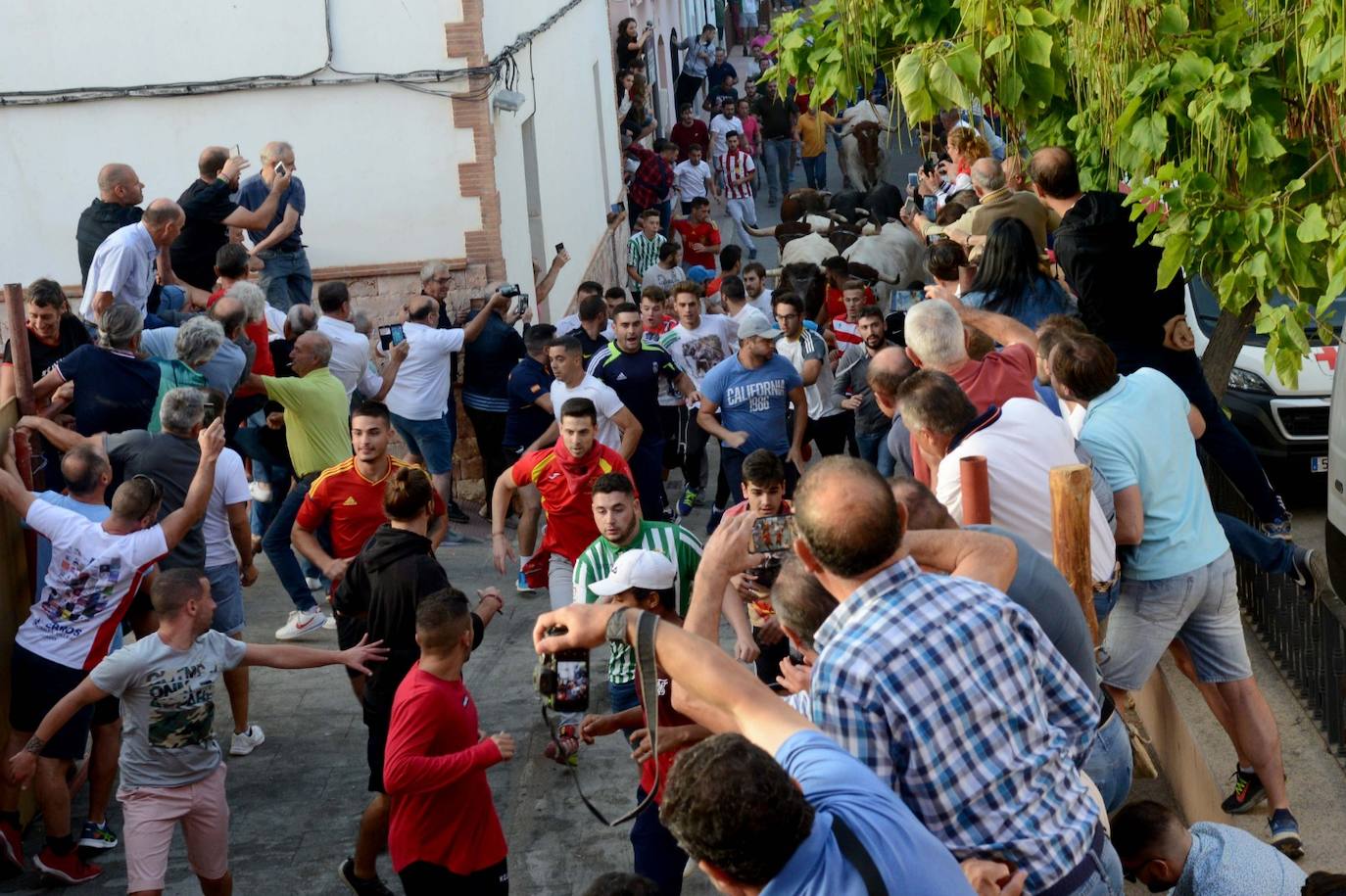 La localidad de Gor ha celebrado el primero de los tres encierros taurinos de las fiestas de San Cayetano. Se han corrido cuatro novillos de la ganadería Astolfi, que esta tarde serán lidiados por los primeros cuatro novilleros que este año aspiran al prestigioso trofeo Almendra de Plata. El encierro ha discurrido con normalidad y no se han tenido que lamentar incidentes de importancia. A juicio de algunos aficionados el paso de los novillos ha sido lento. 