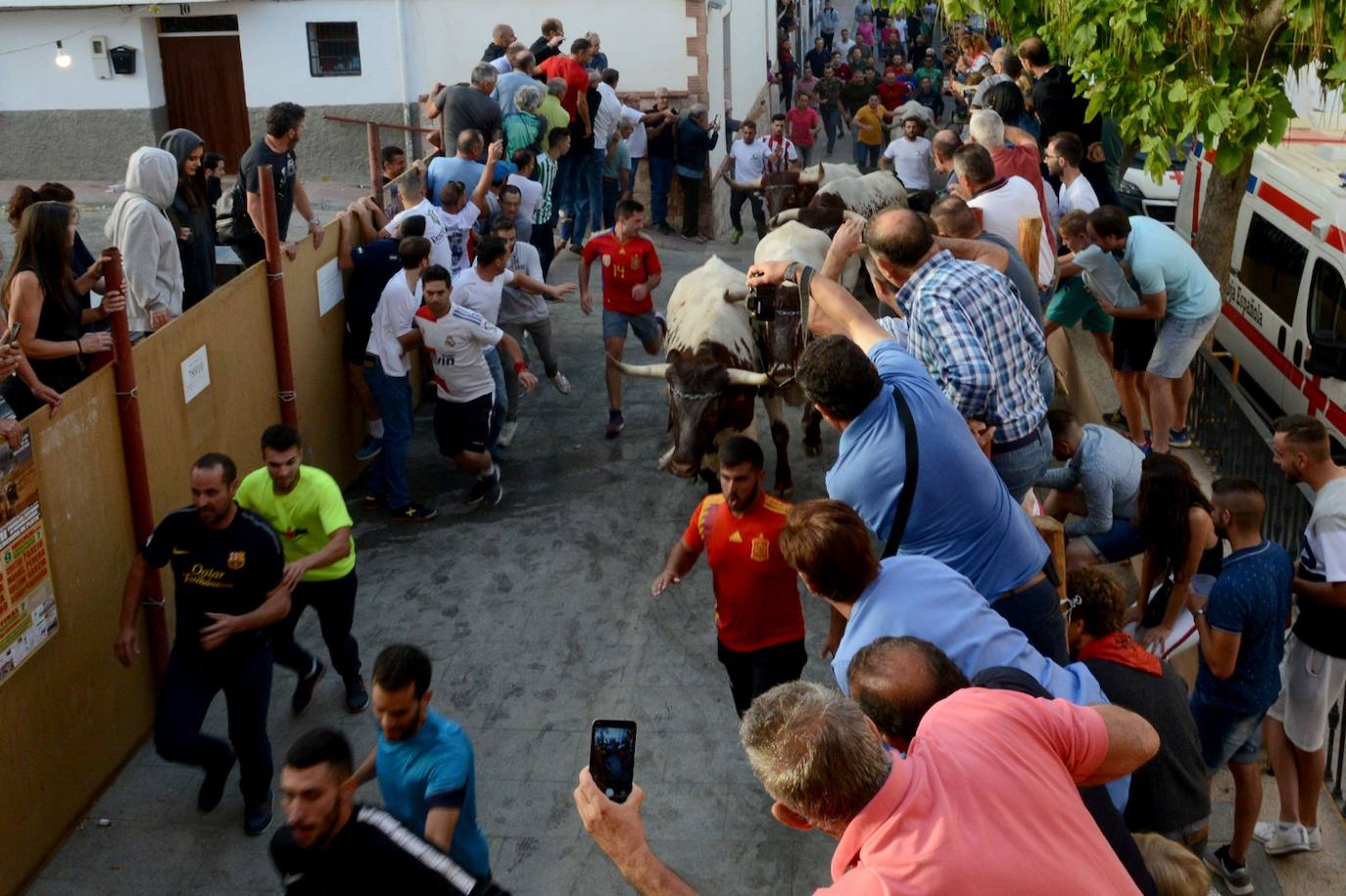 La localidad de Gor ha celebrado el primero de los tres encierros taurinos de las fiestas de San Cayetano. Se han corrido cuatro novillos de la ganadería Astolfi, que esta tarde serán lidiados por los primeros cuatro novilleros que este año aspiran al prestigioso trofeo Almendra de Plata. El encierro ha discurrido con normalidad y no se han tenido que lamentar incidentes de importancia. A juicio de algunos aficionados el paso de los novillos ha sido lento. 