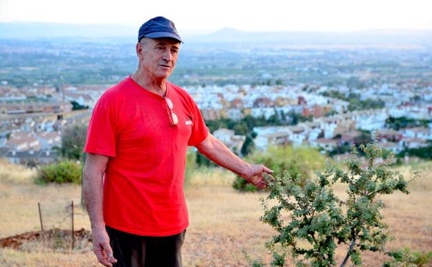 El impulsor del colectivo Operación Encina muestra los árboles.