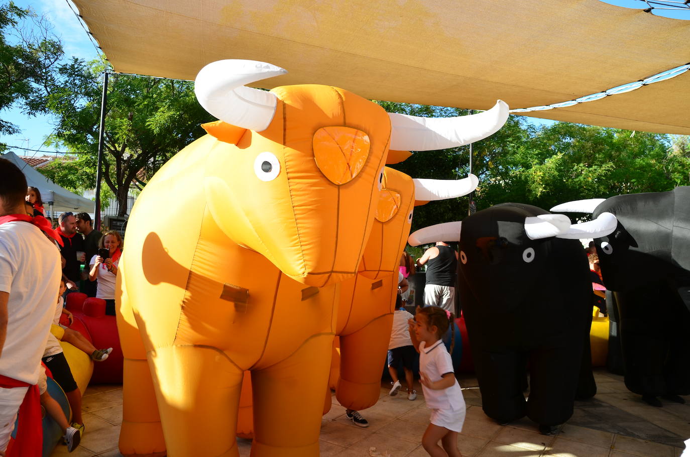 Los vecinos se volcaron en la gran novedad de las fiestas patronales de San Roque este año.