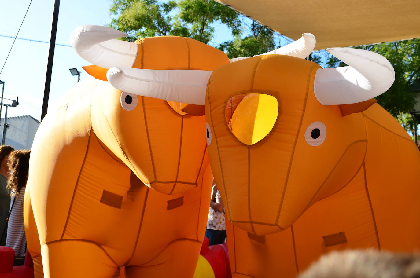 Los vecinos se volcaron en la gran novedad de las fiestas patronales de San Roque este año.