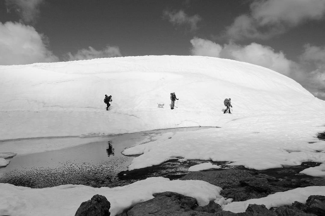 Fotos: Concurso de fotografía de la peña El Albondigón de Huétor Vega