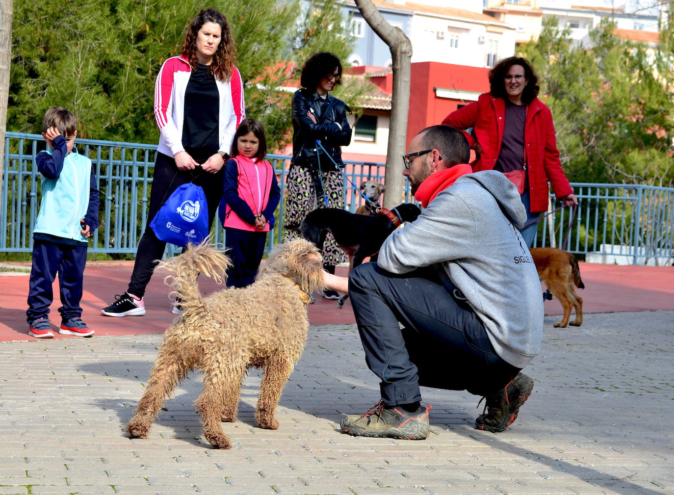 Fotos: Las mascotas de Huétor Vega dan el salto por un muicipio más limpio