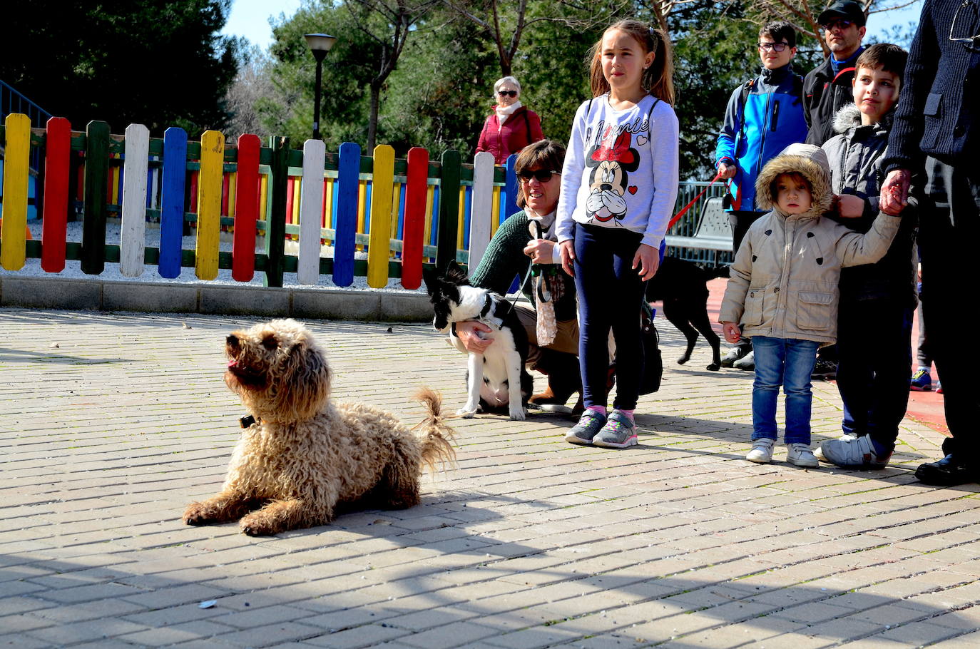 Fotos: Las mascotas de Huétor Vega dan el salto por un muicipio más limpio