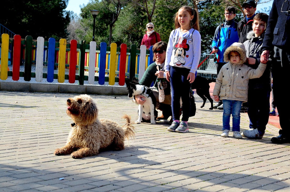 Fotos: Las mascotas de Huétor Vega dan el salto por un muicipio más limpio