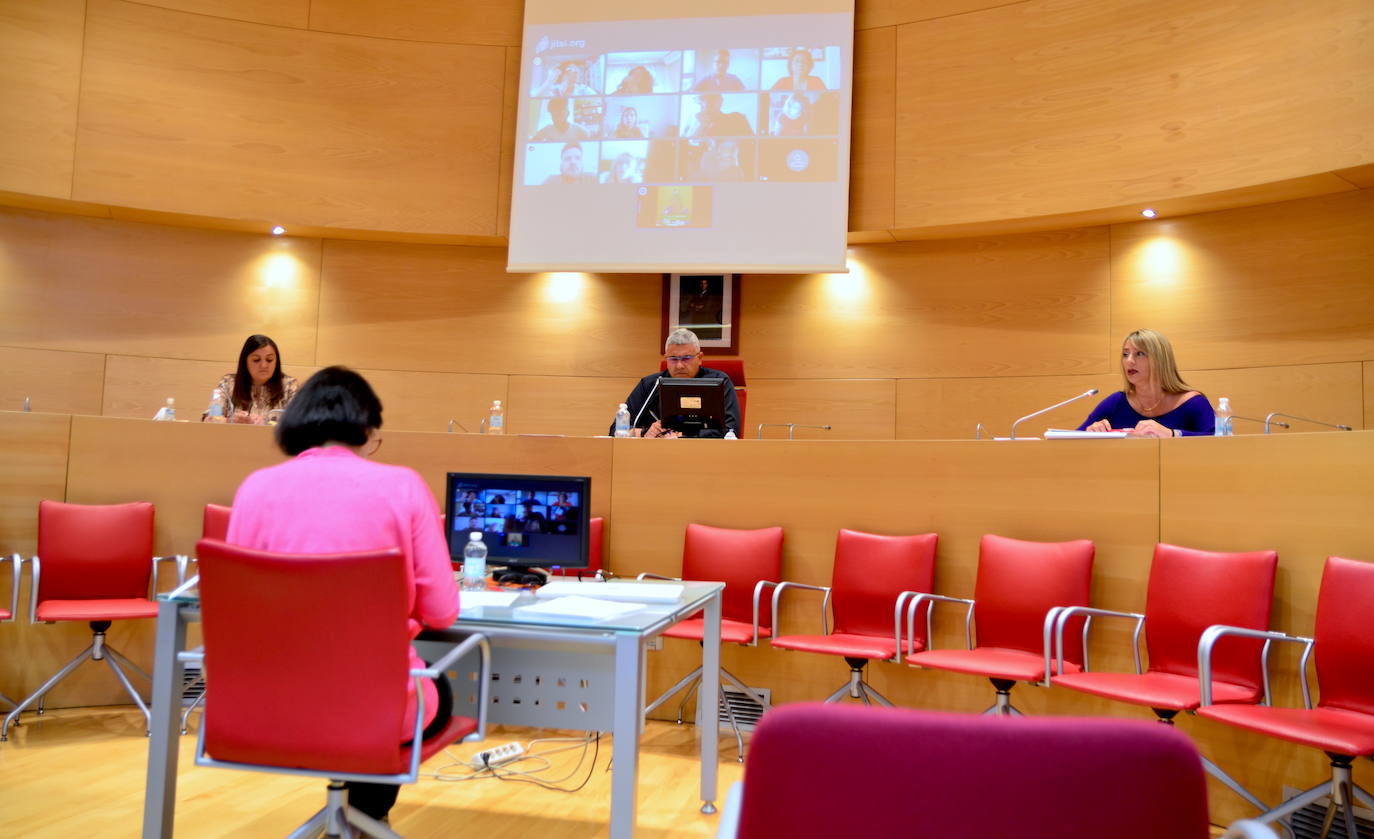 Fotos: Pleno semipresencial, en Huétor Vega