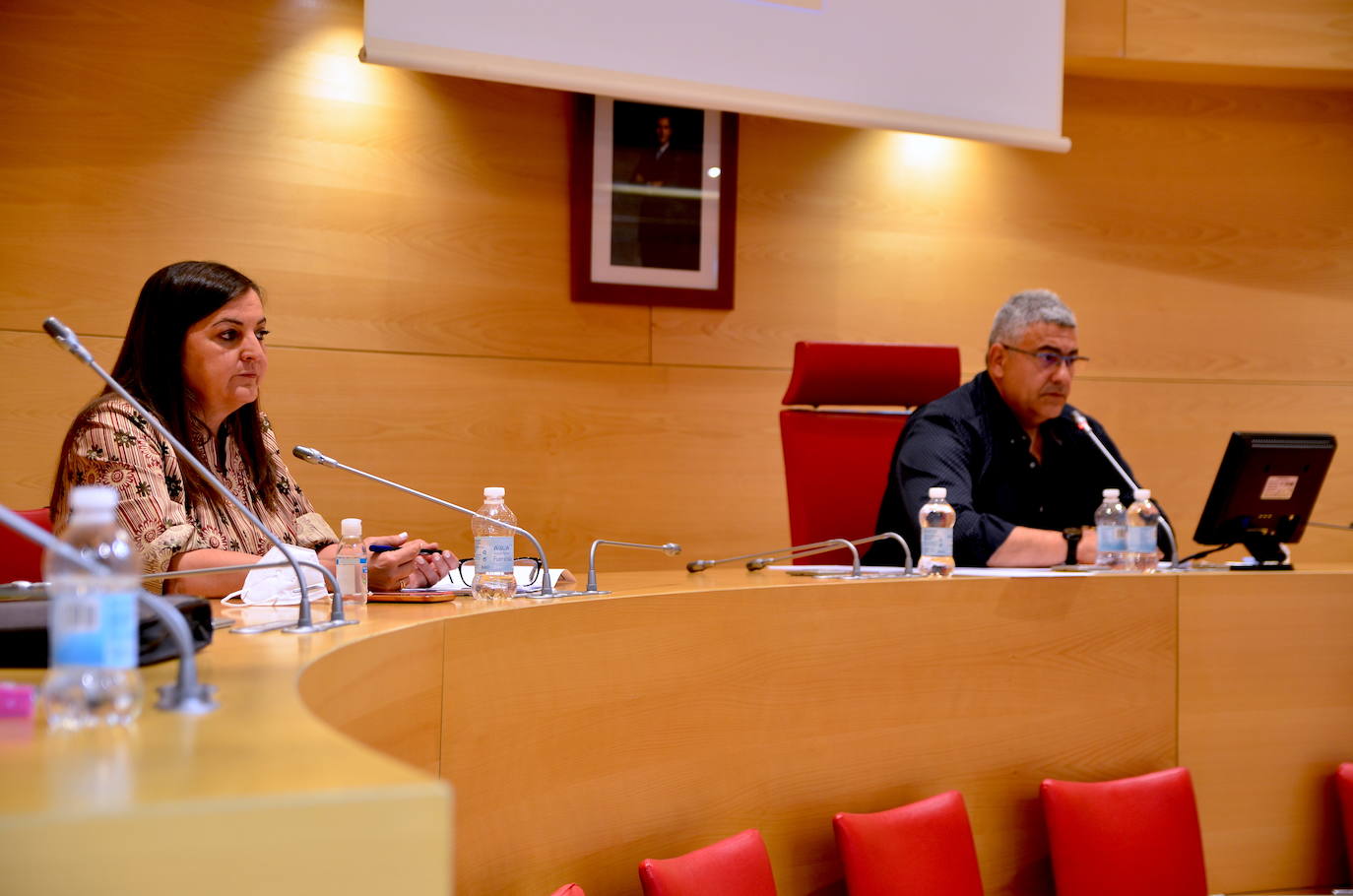 Fotos: Pleno semipresencial, en Huétor Vega