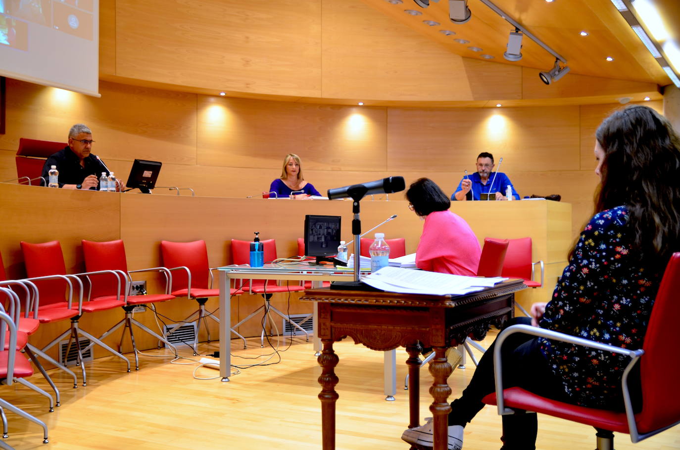 Fotos: Pleno semipresencial, en Huétor Vega