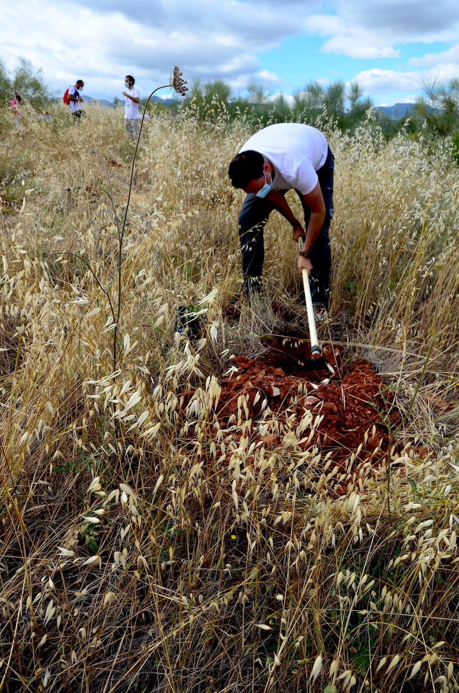 Fotos: Operación: llenar de encinas el Camino de los Neveros